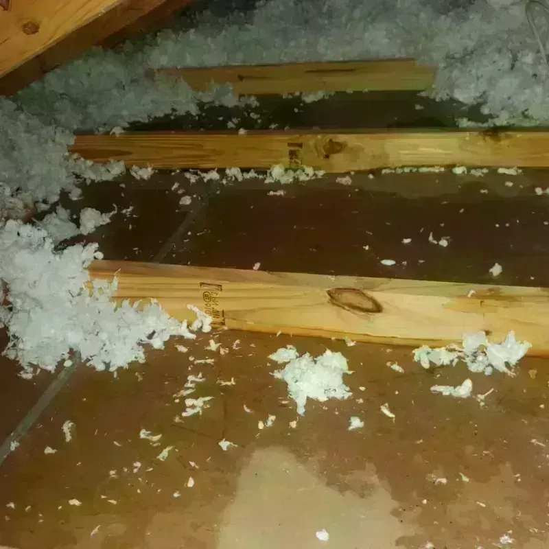 Attic Water Damage in Leakey, TX